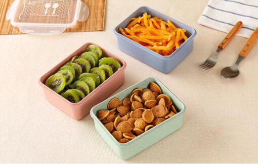 Bamboo Fibre 2 Layer PP Lid Bento lunch box 1