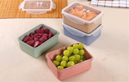 Bamboo Fibre 2 Layer PP Lid Bento lunch box 2