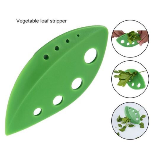 Rosemary Thyme Cabbage Leaf Stripper Plastic 5